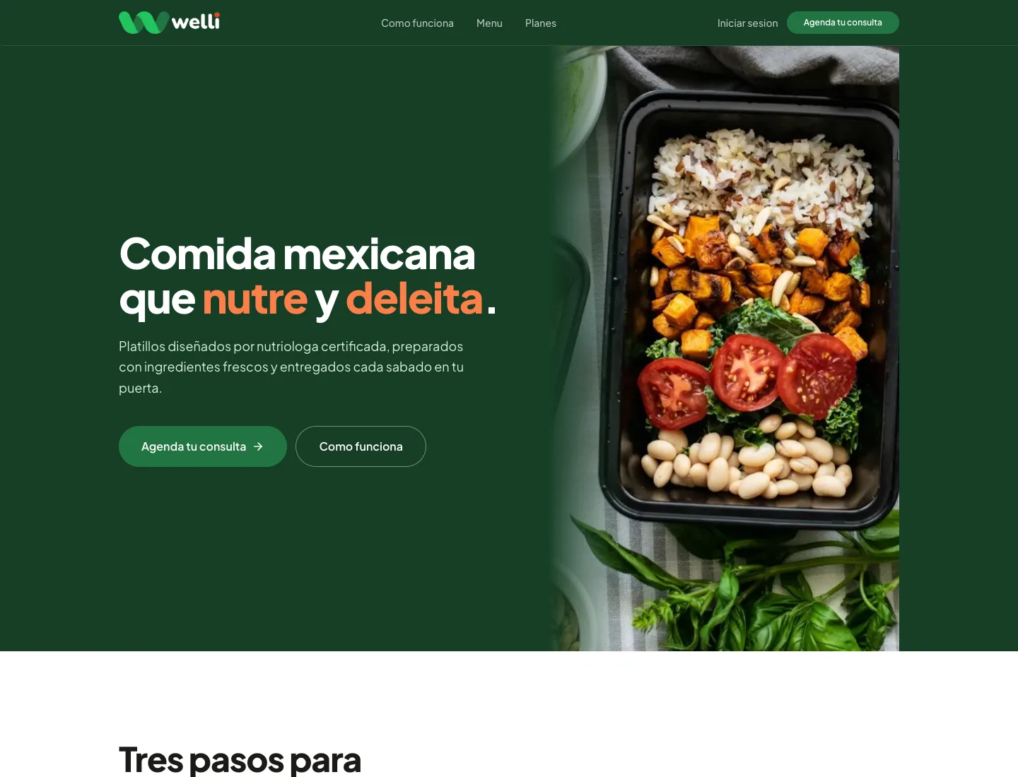 Welli, portada del sitio
